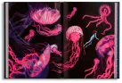 traducir('Foto del artÃ­culo'); 9788414041710