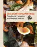 Imagen del producto  9788415989387