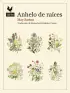 traducir('Foto del artÃ­culo'); 9788416529841