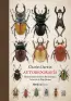 traducir('Foto del artÃ­culo'); 9788417651220