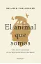 Imagen del producto  9788417805937