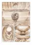 Imagen del producto  9788418898358