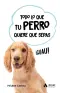 Imagen del producto  9788419341846