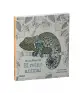 traducir('Foto del artÃ­culo'); 9788419785299