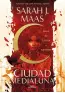 traducir('Foto del artÃ­culo'); 9788420452883