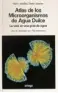 Imagen del producto  9788428208000
