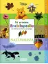 Imagen del producto 9788444163109