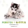 Imagen del producto  9788448022600