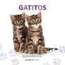 Imagen del producto 9788448044909