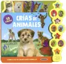 Imagen del producto  9788467765656
