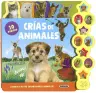 Imagen del producto  9788467765656