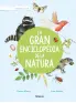 Imagen del producto  9788490269176