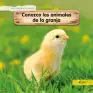 Imagen del producto  9788491422945