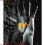 traducir('Foto del artÃ­culo'); 9788494310416