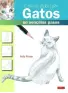 Imagen del producto  9788498743197
