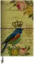 Imagen del producto  9788868216108