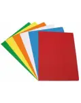 SUBCARPETA FOLIO COLORES