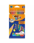 CAJA DE 12 LPICES BIC EVOLUTION STRIPES