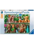 PUZZLE 500 PIEZAS GATOS EN EL ESTANTE