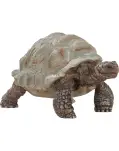 TORTUGA GIGANTE CAPARAZN GRIS