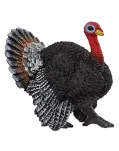 PAVO