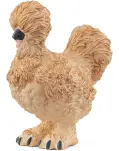 GALLINA SILKIE