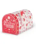 CAJA DE REGALO LOVE MAILBOX. TAMAO PEQUEO