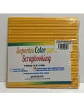 5 SOPORTES DE CARTN DE COLORES PARA SCRAPBOOKING, 16 X 16 CM