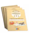 PACK LECTURAS COMPRENSIVAS 4, 5 Y 6 + ORGANIZADOR SEMANAL DE REGALO