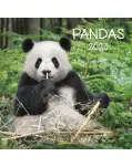 CALENDARIO DE PARED PANDA 2023