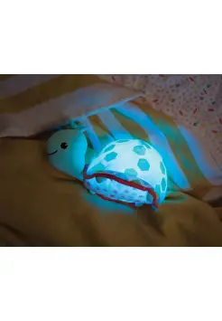 TORTUGA LUMINOSA