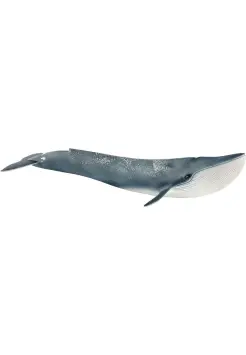 BALLENA AZUL