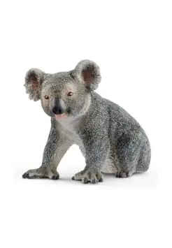 KOALA MACHO