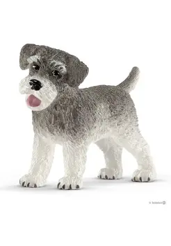 SCHNAUZER EN MINIATURA