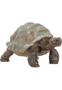 TORTUGA GIGANTE CAPARAZN GRIS