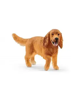 COCKER SPANIEL INGLS