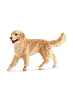 GOLDEN RETRIEVER HEMBRA