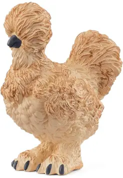 GALLINA SILKIE