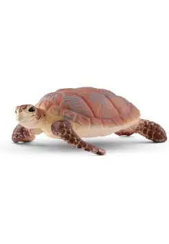 TORTUGA CAREY 