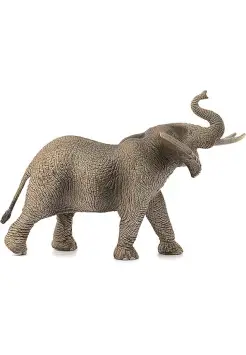 ELEFANTE AFRICANO MACHO