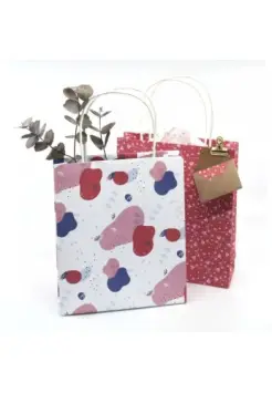 BOLSAS DE REGALO DECORADAS SURTIDAS, CONJUNTO DE 3 UNIDADES