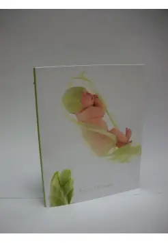 CARPETA 4 ANILLAS TAMAO FOLIO, DISEO ANNE GEDDES NIO HOJA