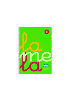 CUADERNO CUADROVA LAMELA 3 MM TAPA DE PLSTICO COLOR VERDE, TAMAO FOLIO CON ESPIRAL