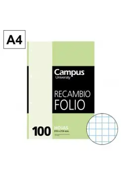 RECAMBIO CUADROS 4 MM 100 HOJAS TAMAO FOLIO