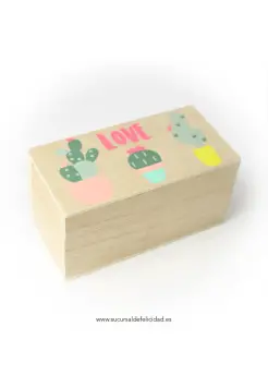 CAJA DE MADERA CON CACTUS Y MENSAJE