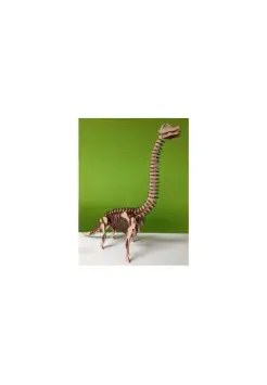 MAQUETA 3D DINOSAURIO BRACHIOSAURUS