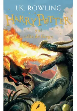 4. HARRY POTTER Y EL CLIZ DE FUEGO