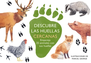 Imagen del producto 8425402888728