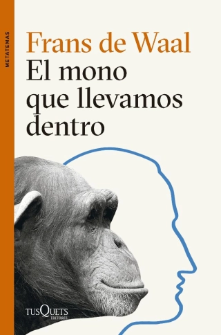 Imagen del producto 9788411074025