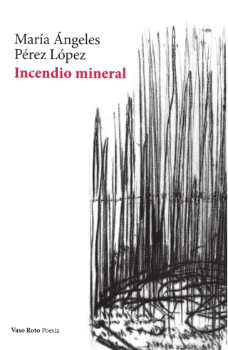 traducir('Imagen del producto ');9788412348750